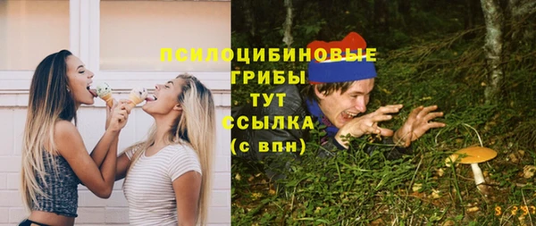 спайс Кукмор