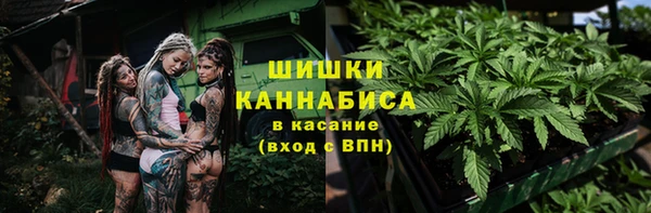 молекула духа Кулебаки