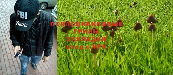 молекула духа Кулебаки