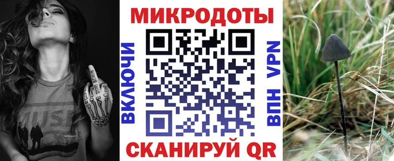 Купить закладки  Бабаево  Псилоцибиновые грибы Psilocybe 
